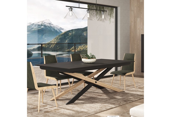 Taiga Extension Dining Table