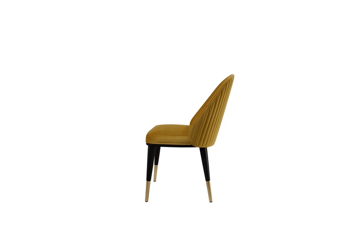 Anima Chair
